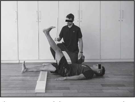 article for straight leg raise for hamstring tear test|ACCURACY OF THE FUNCTIONAL MOVEMENT SCREEN .